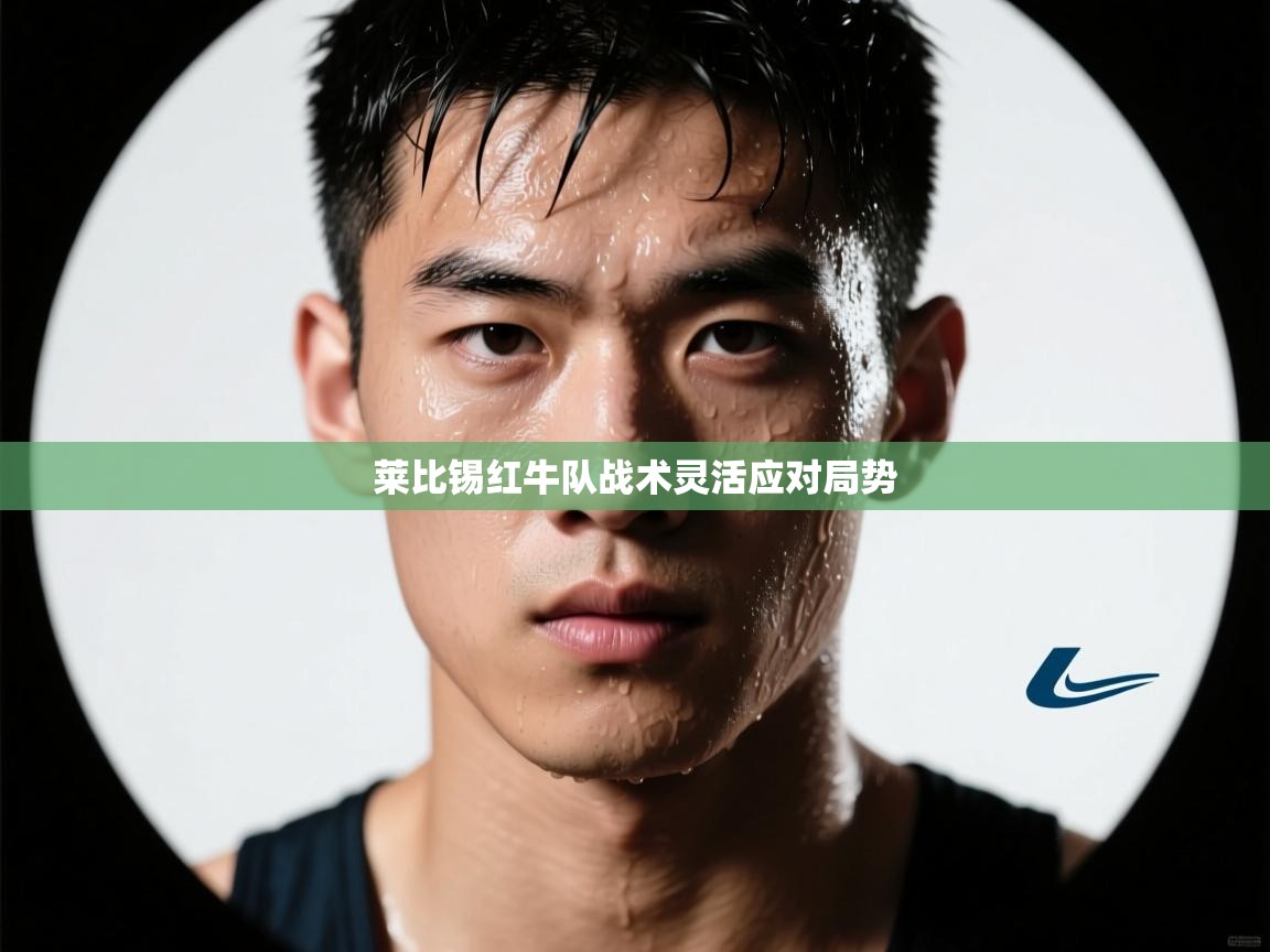 开云·体育kaiyun官方网站_kaiyun sports-莱比锡红牛队战术灵活应对局势