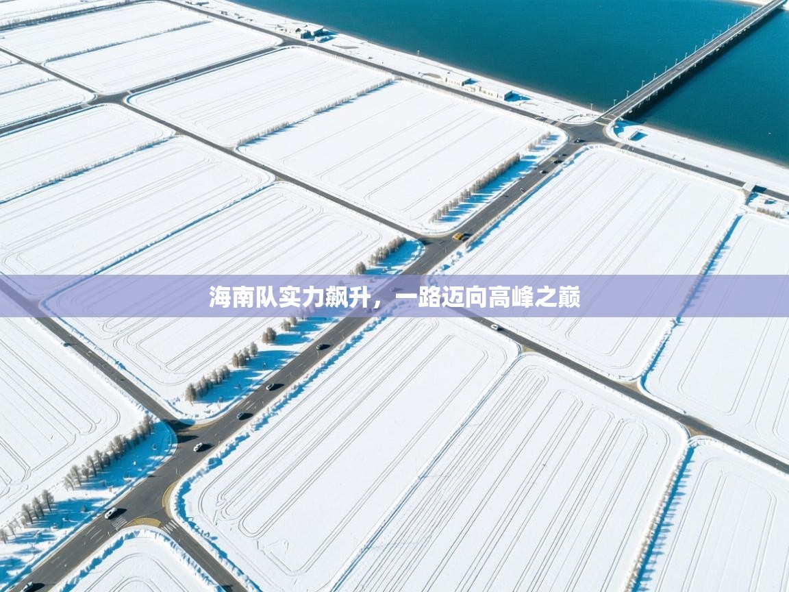 开云体育入口平台-海南队实力飙升，一路迈向高峰之巅